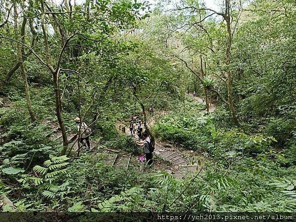 20250301抹茶山(1) 20250301抹茶山(1)