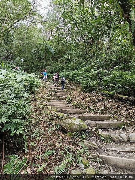 20250301抹茶山(1) 20250301抹茶山(1)