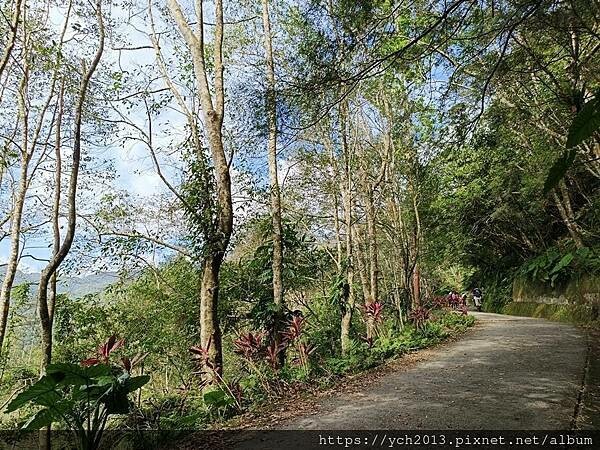 20250301抹茶山(1) 20250301抹茶山(1)