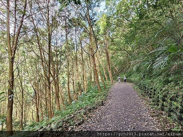 20250301抹茶山(1) 20250301抹茶山(1)