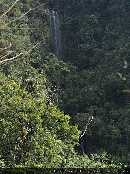 20250301抹茶山(1) 20250301抹茶山(1)