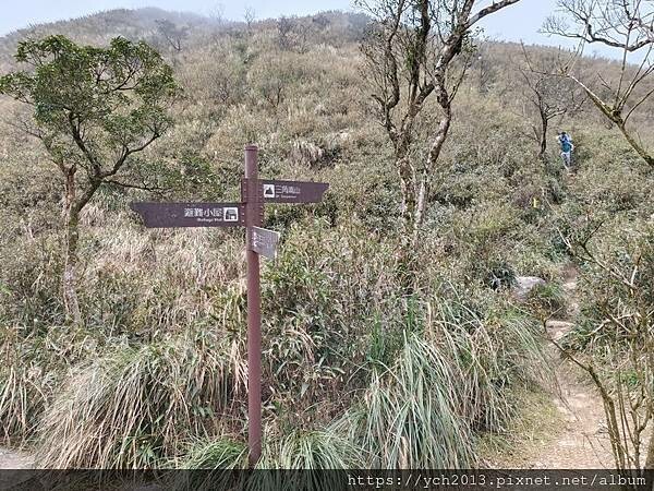 宜蘭景點/抹茶山之旅(下)/登頂抹茶山觀景平台、聖母山莊,再 宜蘭景點/抹茶山之旅(下)/登頂抹茶山觀景平台、聖母山莊,再
