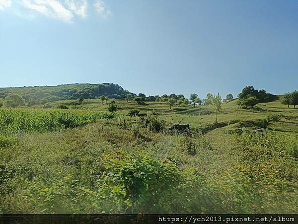 拜訪德古拉伯爵家鄉－漫步錫吉什瓦拉古城Sighisoara／