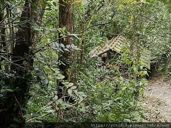 20250301抹茶山(1) 20250301抹茶山(1)