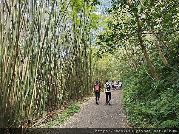 20250301抹茶山(1) 20250301抹茶山(1)