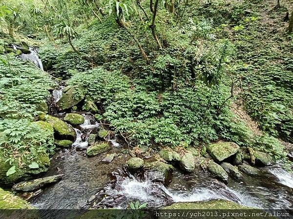 20250301抹茶山(1) 20250301抹茶山(1)