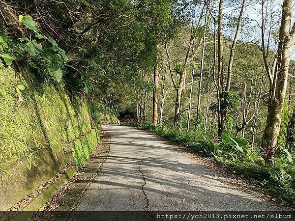 宜蘭景點/抹茶山之旅(下)/登頂抹茶山觀景平台、聖母山莊,再 宜蘭景點/抹茶山之旅(下)/登頂抹茶山觀景平台、聖母山莊,再