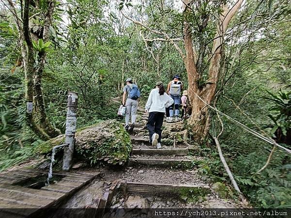 20250301抹茶山(1) 20250301抹茶山(1)