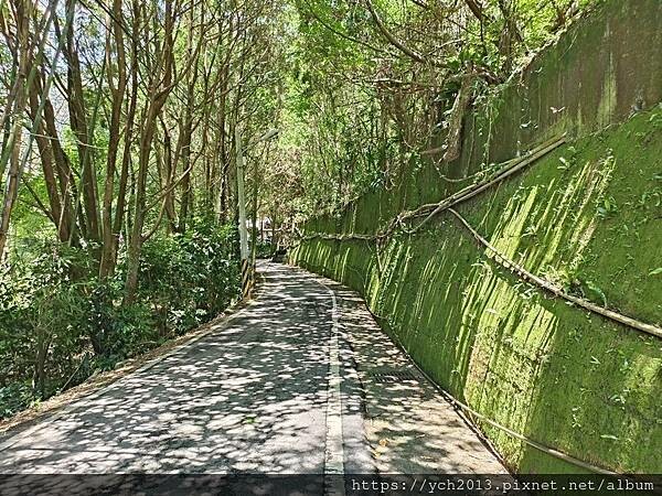 原流新創聚落／跟著飛鼠去旅行－泰雅族裡冷部落尋音之旅／台中原
