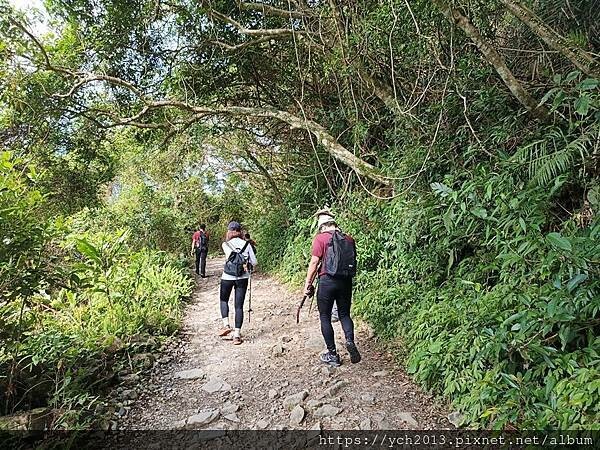 20250301抹茶山(1) 20250301抹茶山(1)
