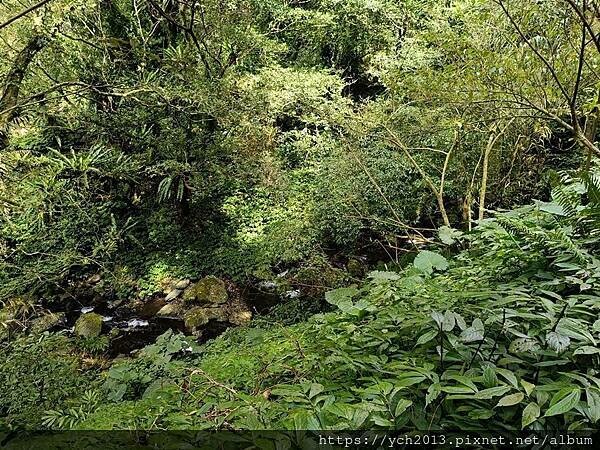 20250301抹茶山(1) 20250301抹茶山(1)