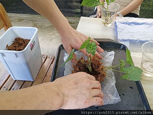 原流新創聚落／跟著飛鼠去旅行－泰雅族裡冷部落尋音之旅／台中原