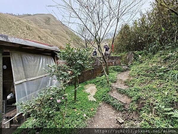 宜蘭景點/抹茶山之旅(下)/登頂抹茶山觀景平台、聖母山莊,再 宜蘭景點/抹茶山之旅(下)/登頂抹茶山觀景平台、聖母山莊,再