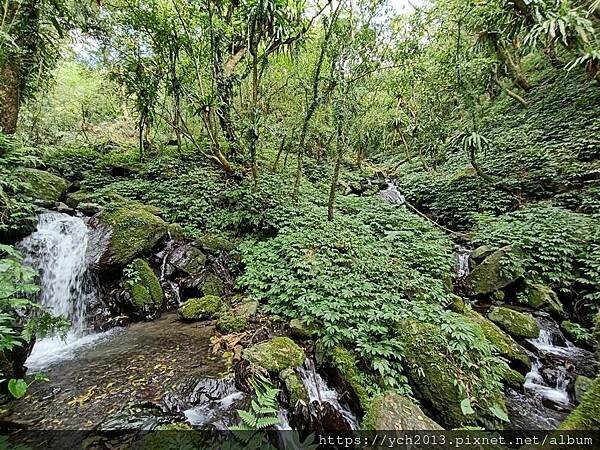 20250301抹茶山(1) 20250301抹茶山(1)