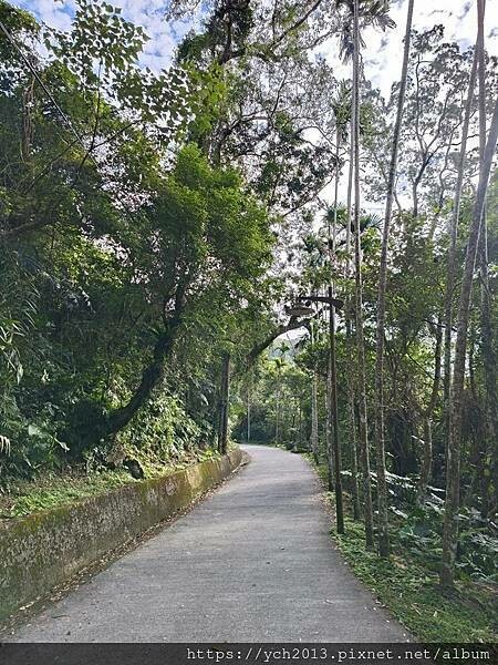 20250301抹茶山(1) 20250301抹茶山(1)