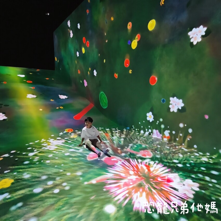 teamLab共創!未來園特展高雄登場,高雄科工館沉浸式數位藝術新體驗