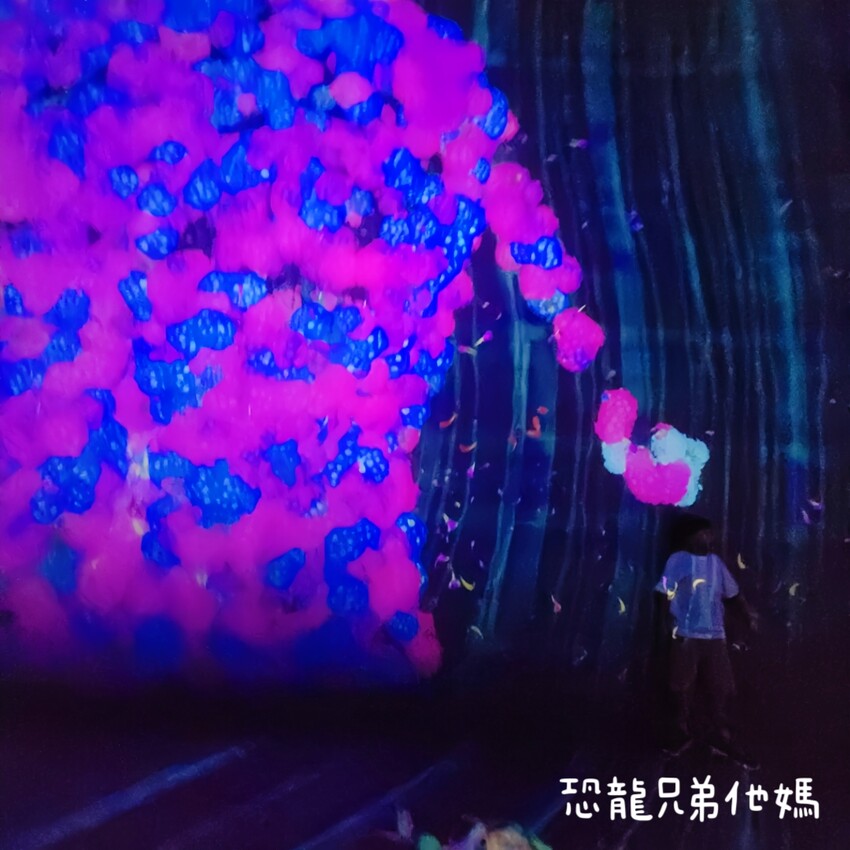 teamLab共創!未來園特展高雄登場,高雄科工館沉浸式數位藝術新體驗