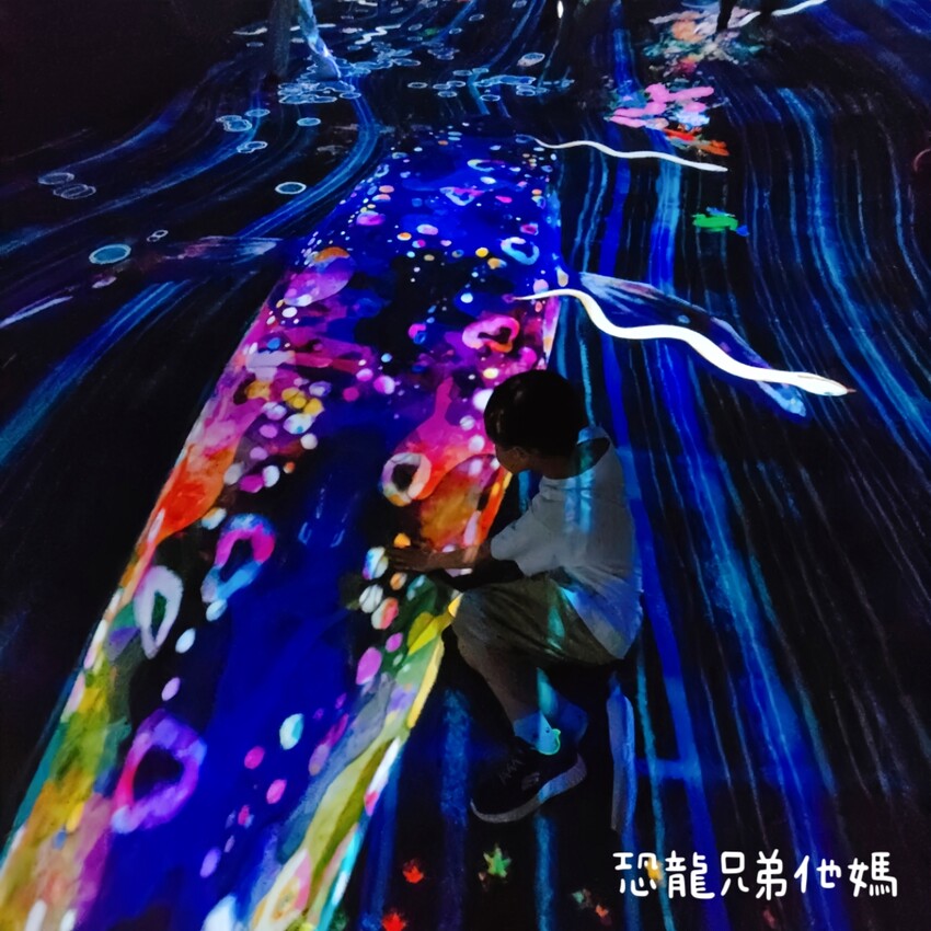 teamLab共創!未來園特展高雄登場,高雄科工館沉浸式數位藝術新體驗