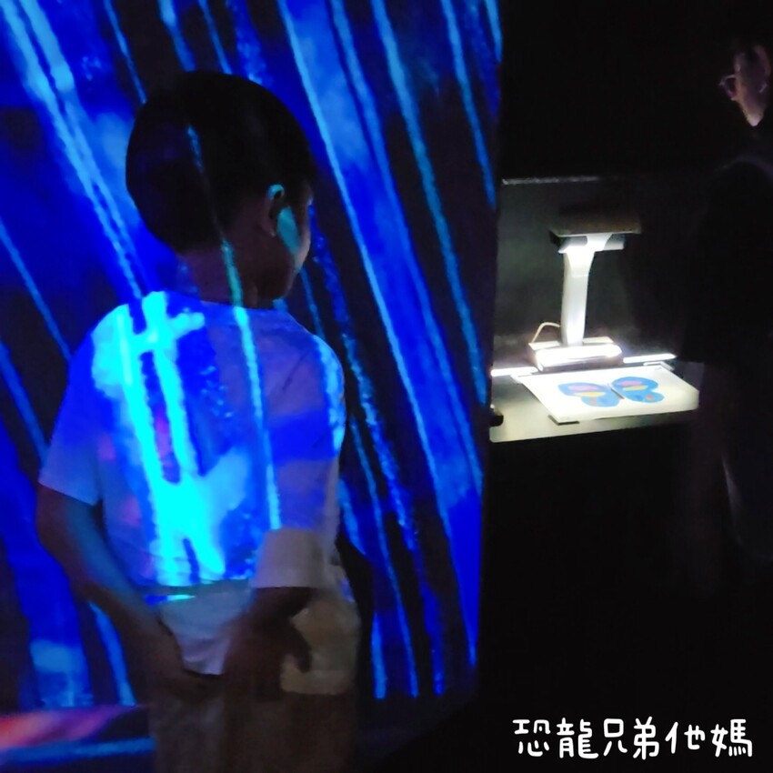 teamLab共創!未來園特展高雄登場,高雄科工館沉浸式數位藝術新體驗