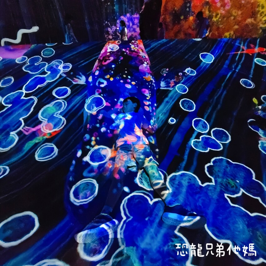 teamLab共創!未來園特展高雄登場,高雄科工館沉浸式數位藝術新體驗