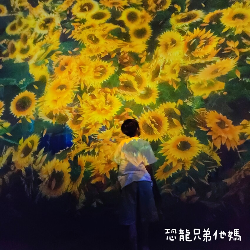 teamLab共創!未來園特展高雄登場,高雄科工館沉浸式數位藝術新體驗