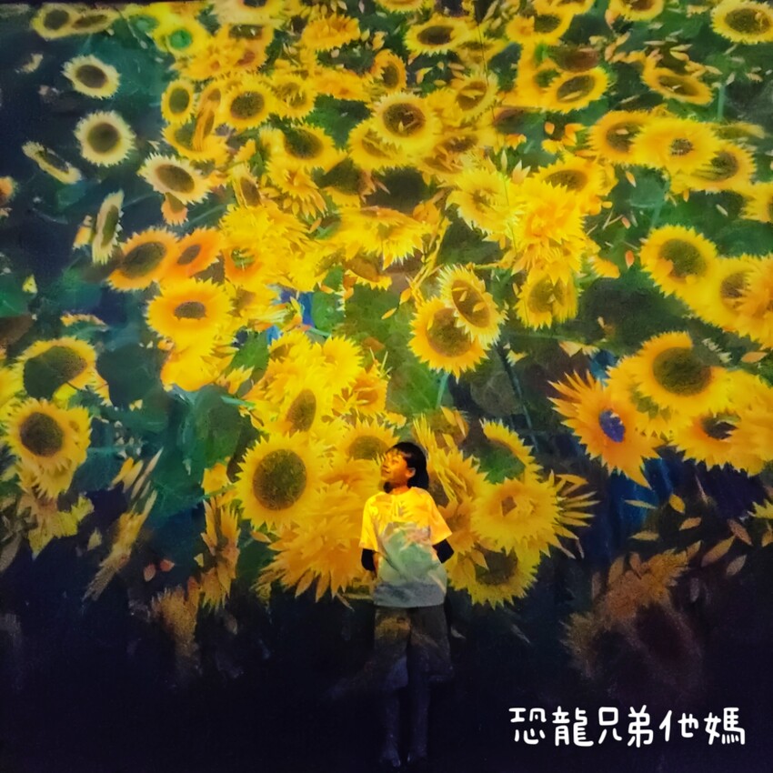 teamLab共創!未來園特展高雄登場,高雄科工館沉浸式數位藝術新體驗