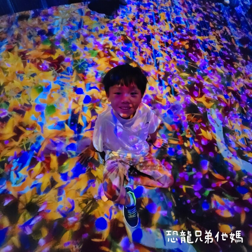 teamLab共創!未來園特展高雄登場,高雄科工館沉浸式數位藝術新體驗