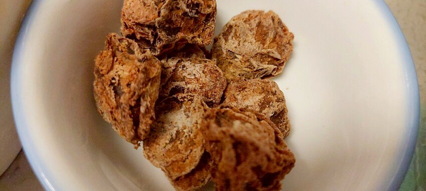 3C開箱｜ KOHZII 康馳全自動製冰機KIM1240WG