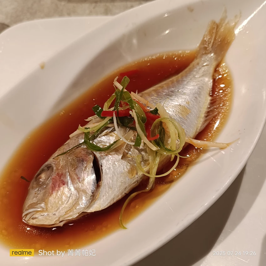 台北市中正區20250724 台北喜來登大飯店，12廚，九訪，平日晚餐