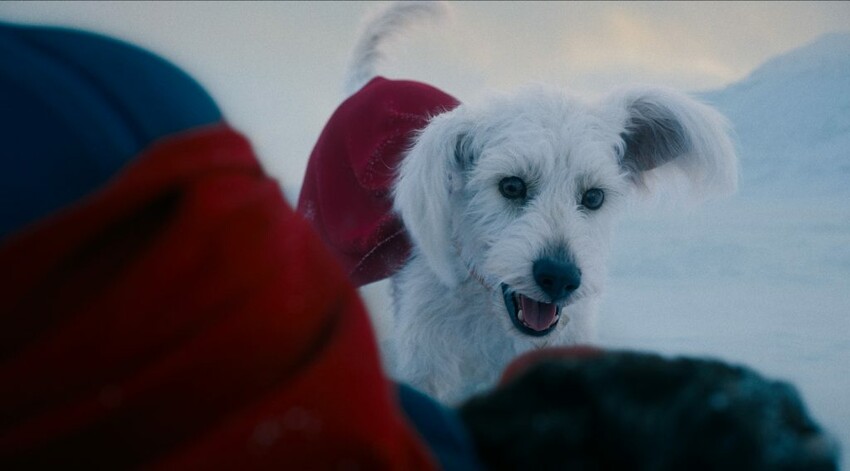 【克拉大影評】近期有什麼好看的電影？暑假就是要看好萊塢大片！