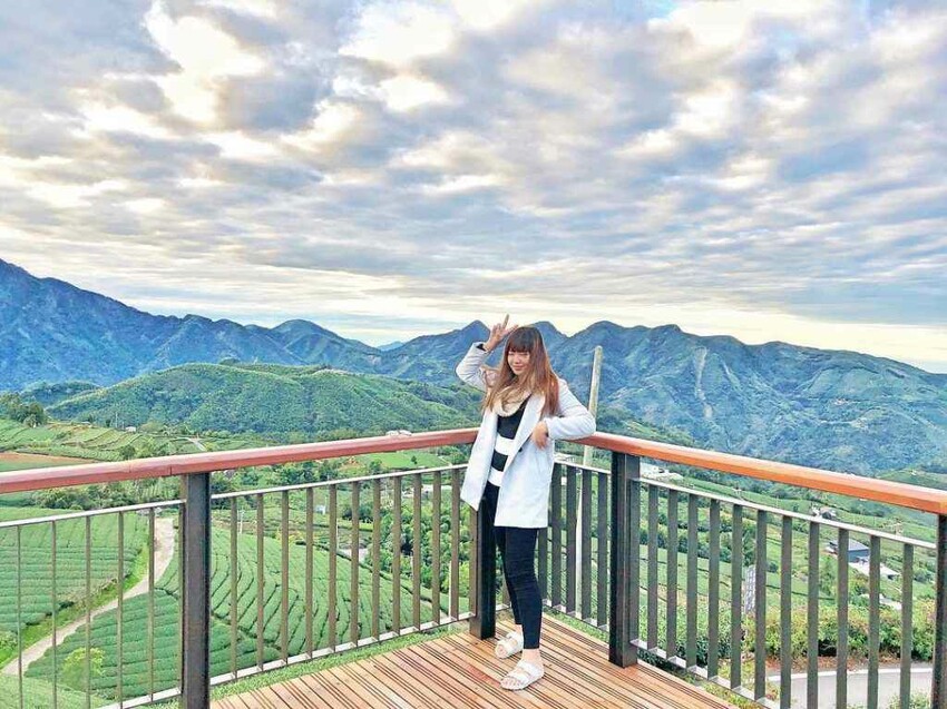 夢幻嘉義瑞里紫藤花季! ︁掌握最佳賞花期與交通秘訣輕鬆前往