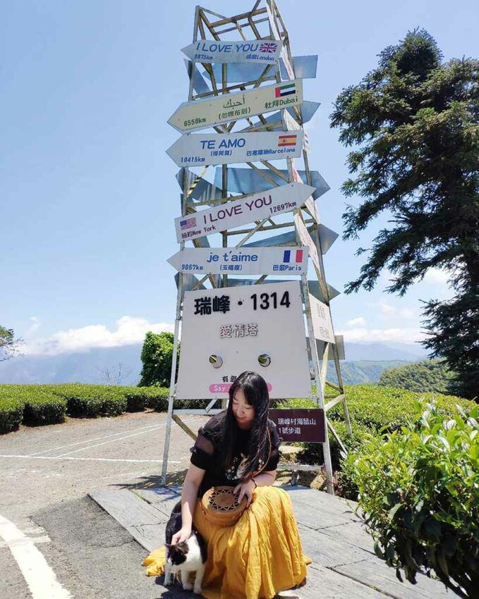 夢幻嘉義瑞里紫藤花季! ︁掌握最佳賞花期與交通秘訣輕鬆前往