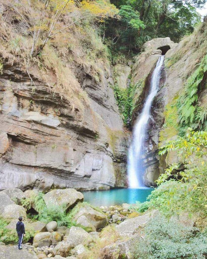 夢幻嘉義瑞里紫藤花季! ︁掌握最佳賞花期與交通秘訣輕鬆前往