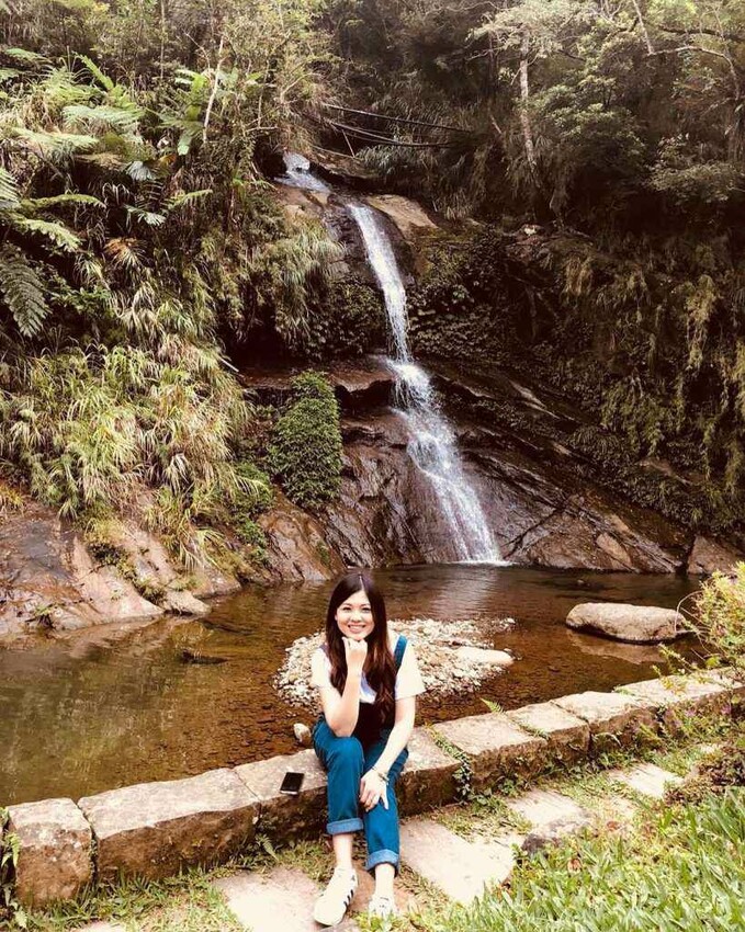 夢幻嘉義瑞里紫藤花季! ︁掌握最佳賞花期與交通秘訣輕鬆前往