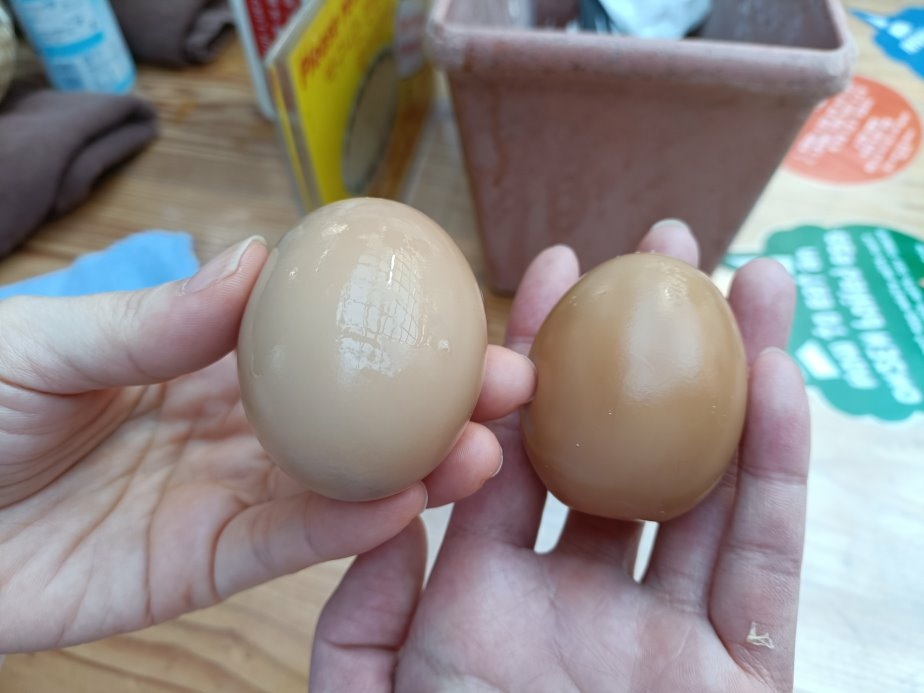 別府地獄之旅！灶地獄美食探險，必吃醬油布丁與溫泉蛋