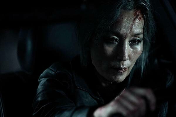 【電影推薦】影后李慧英毒髮簪 vs 帥氣金聖喆鐵拳 #聖母殺