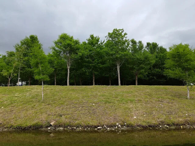 A2 水岸 - 黑森林