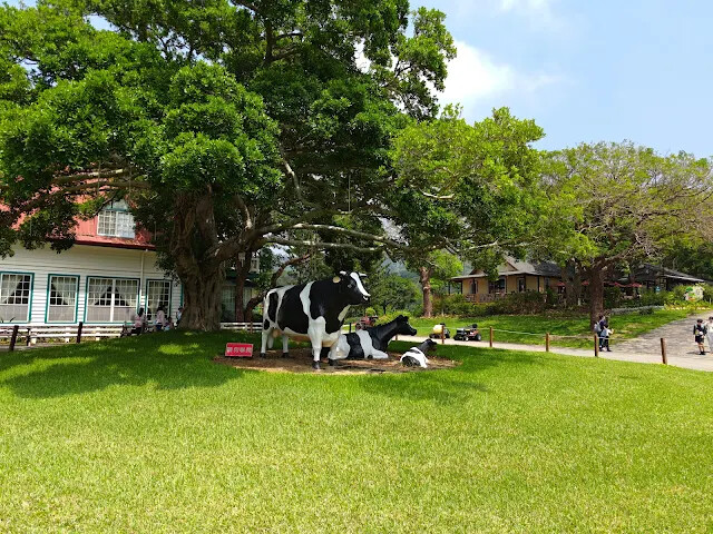 飛牛牧場 - 中心服務區 - 乳牛雕像廣場 飛牛牧場 - 中心服務區 - 乳牛雕像廣場