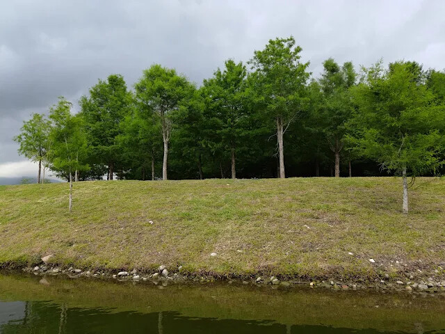 A2 水岸 - 黑森林