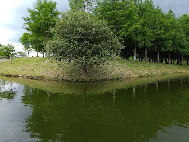 A2 水岸 - 黑森林