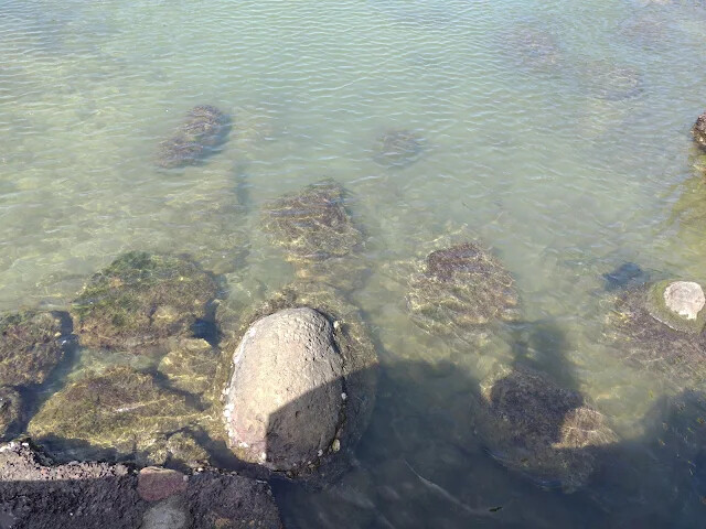 和平島地質公園 - 九曲橋 - 潮間帶