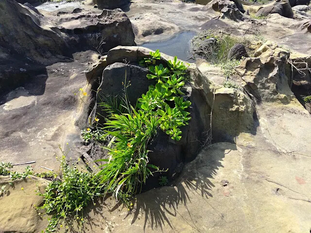 和平島地質公園 - 秘境步道