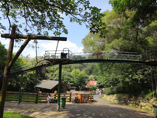 飛牛牧場 - 牧場生態區 - 黑山羊生態區 飛牛牧場 - 牧場生態區 - 黑山羊生態區