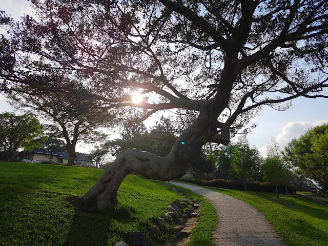 飛牛牧場 飛牛牧場
