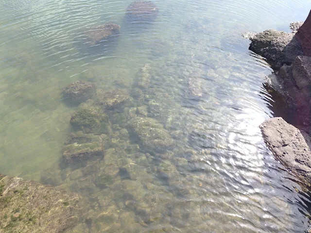 和平島地質公園 - 九曲橋 - 潮間帶