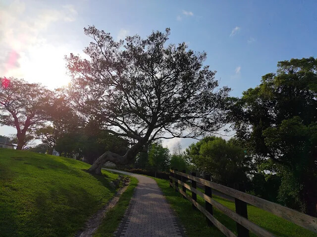 飛牛牧場 飛牛牧場