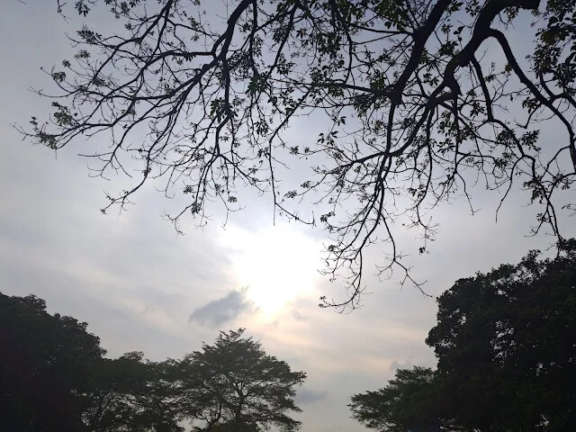 飛牛牧場 飛牛牧場