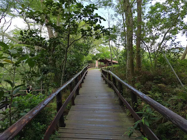 飛牛牧場 - 牧場生態區 - 木棧道 飛牛牧場 - 牧場生態區 - 木棧道