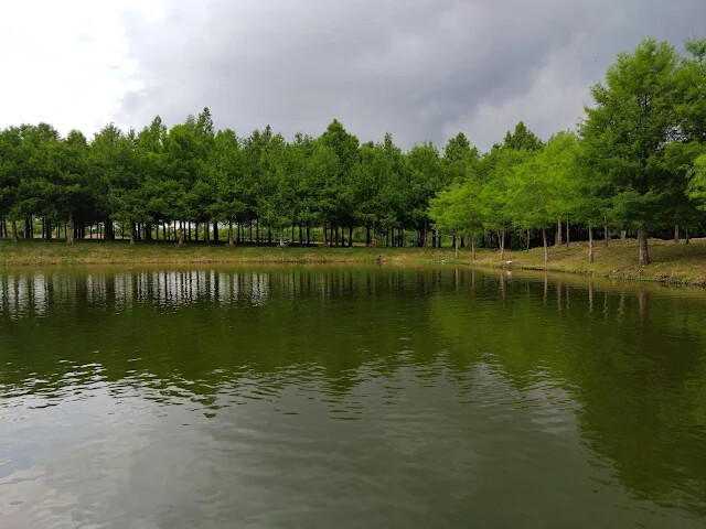 A2 水岸 - 黑森林