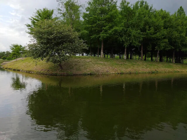 A2 水岸 - 黑森林